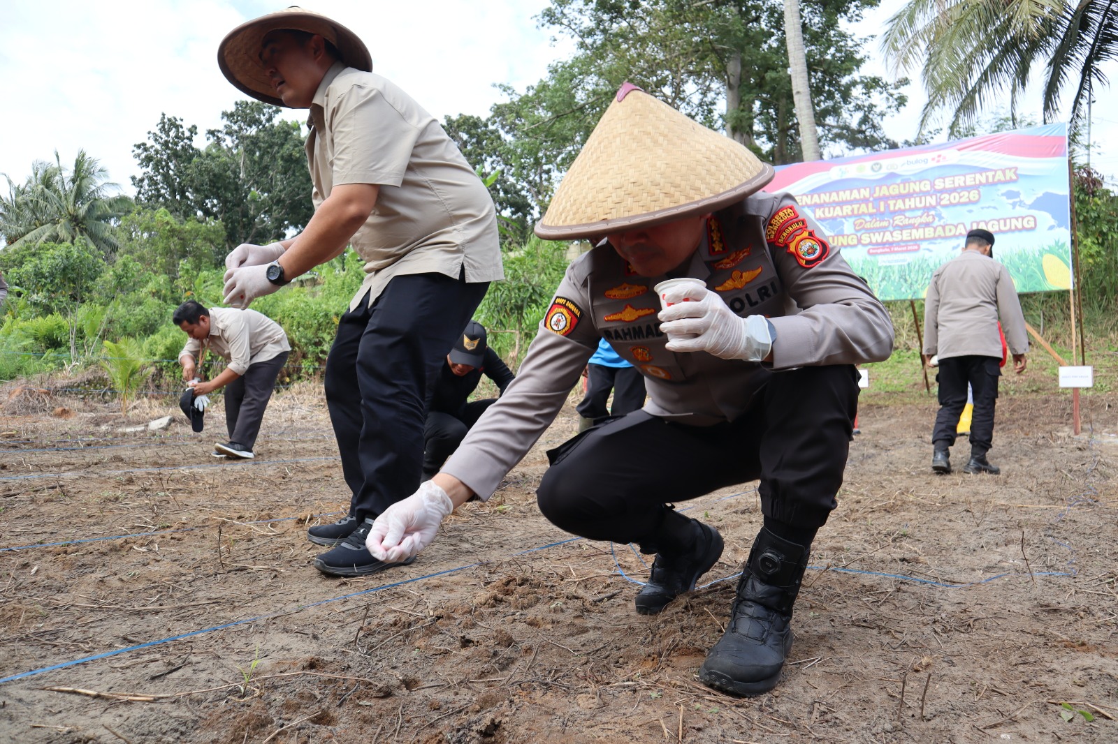 Kapolresta Bengkulu Ikuti Zoom Meeting dan Tanam Raya Jagung Serentak Kuartal I Dukung Swasembada Pangan Polresta Bengkulu Tanam Jagung 1,15 Hektare dalam Program Nasional Ketahanan Pangan
