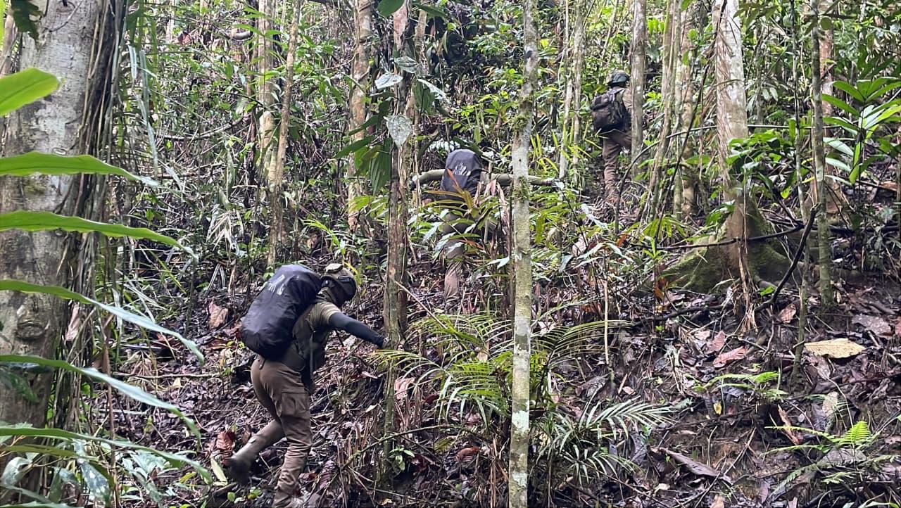 Aparat Gabungan TNI–Polri Tindak Anggota KKB Pimpinan Aibon Kogoya di Bukit Signal Nabire